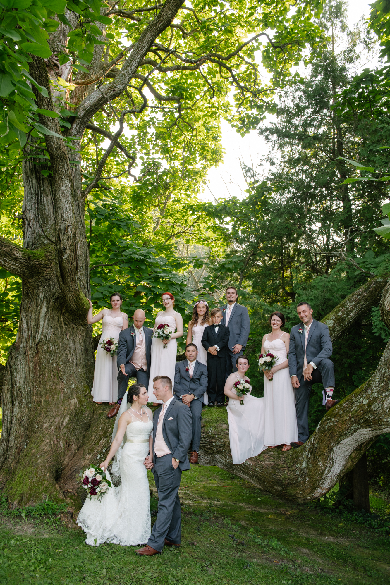 Wedding Party in the Catulpa Tree at the Hilltop Wedding Venue