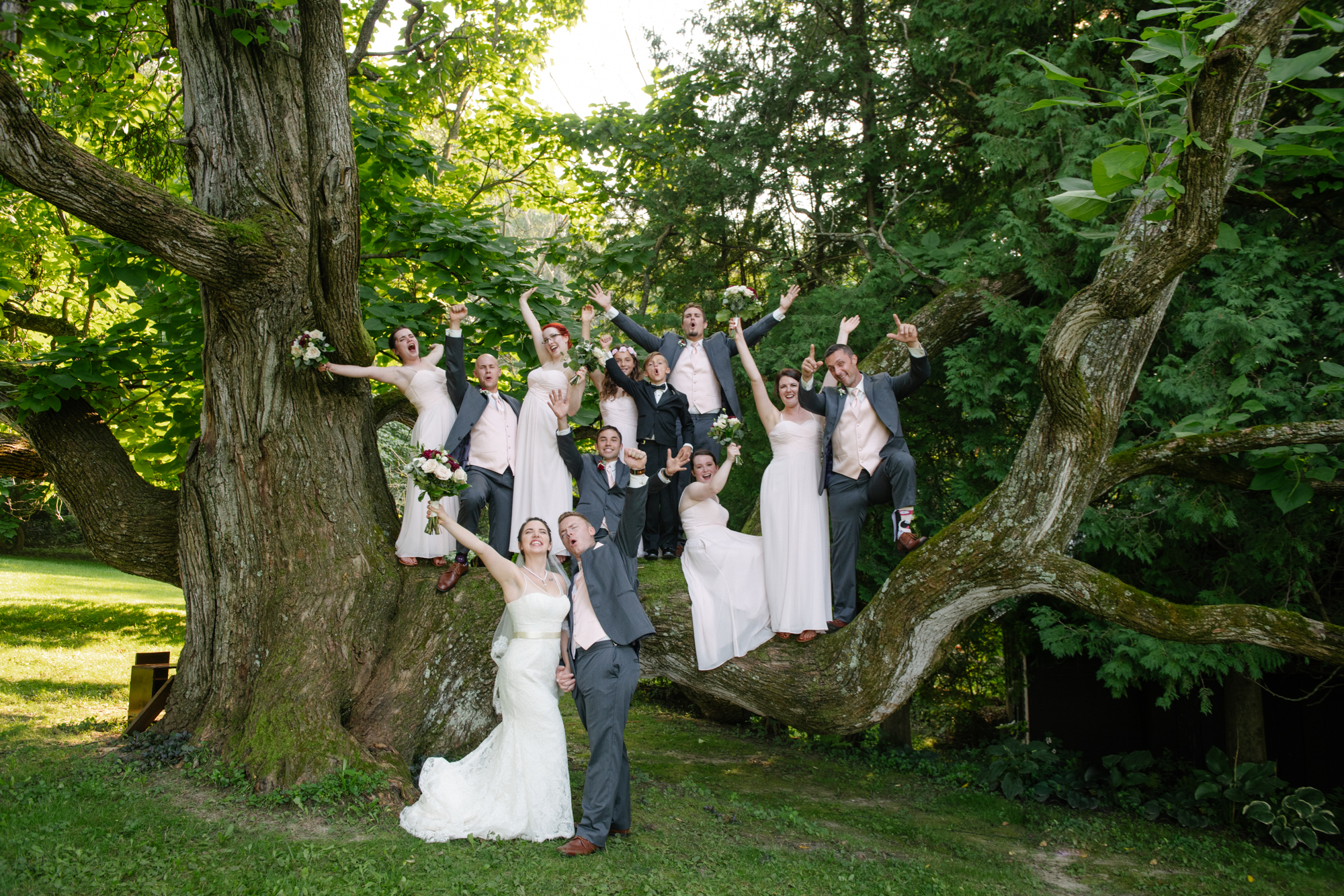 Wedding Party in the Catulpa Tree at the Hilltop Wedding Venue