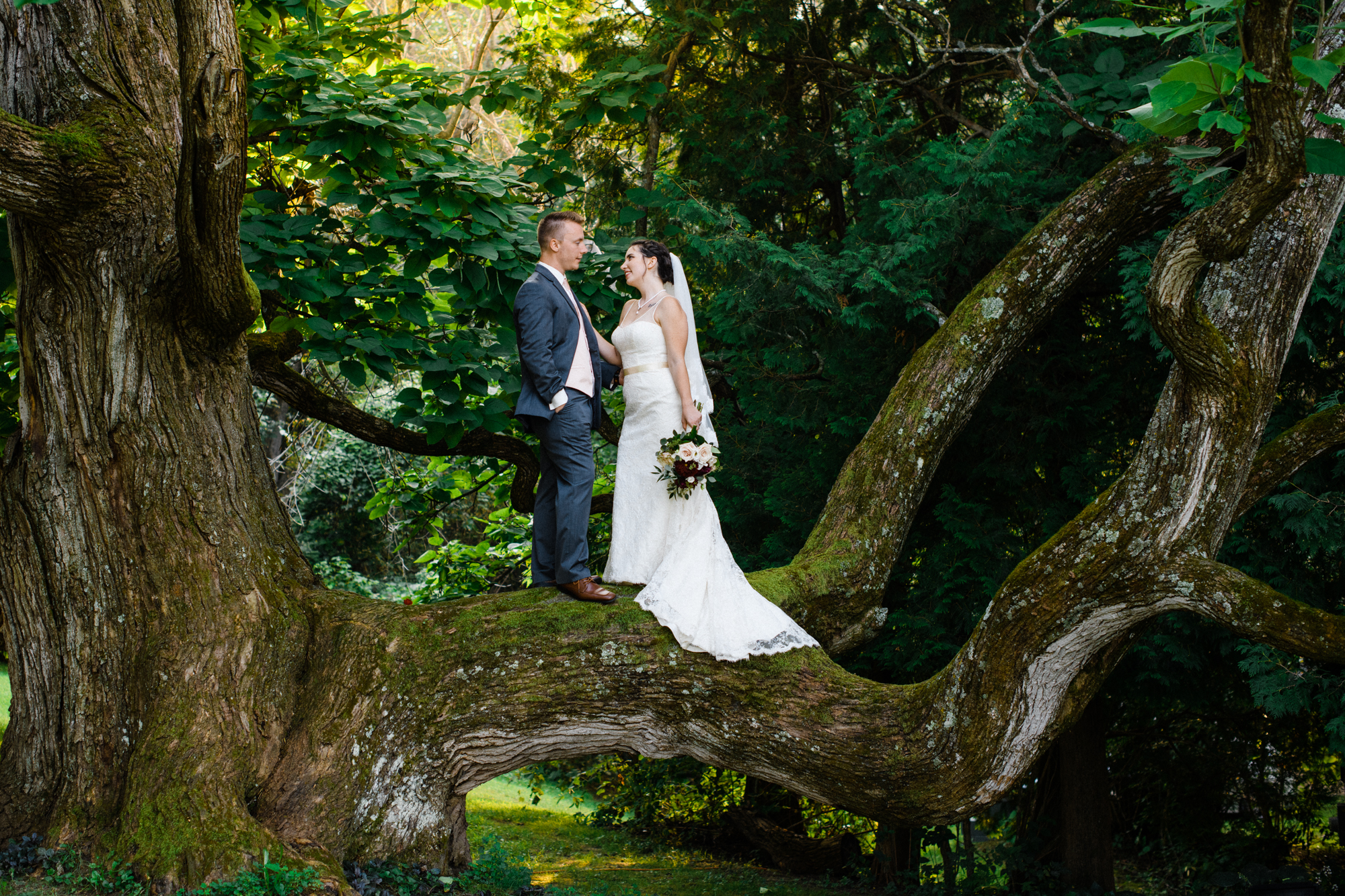 Bride and Groom in the Catulpa Tree at the Hilltop Wedding Venue