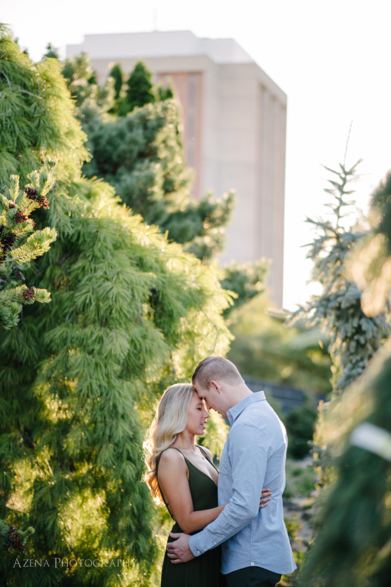 engagement session at allen centennial gardens in madison, wi