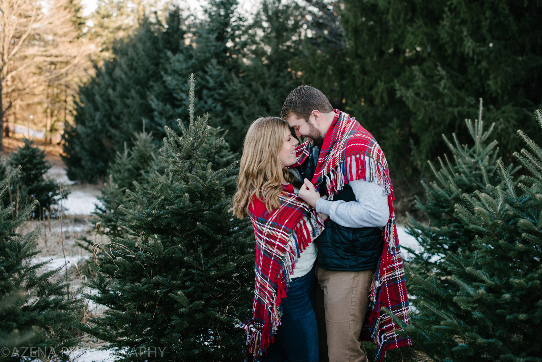 engagement session at christmas tree farm with blanket