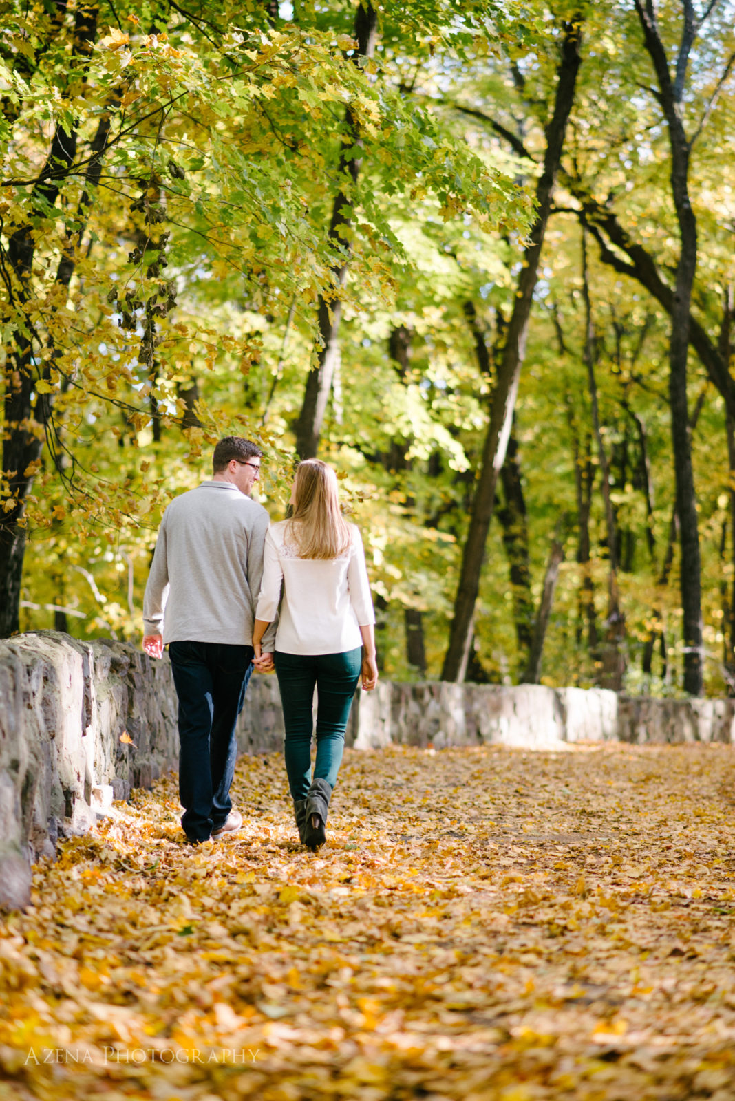 fall engagement session at devil's lake state park