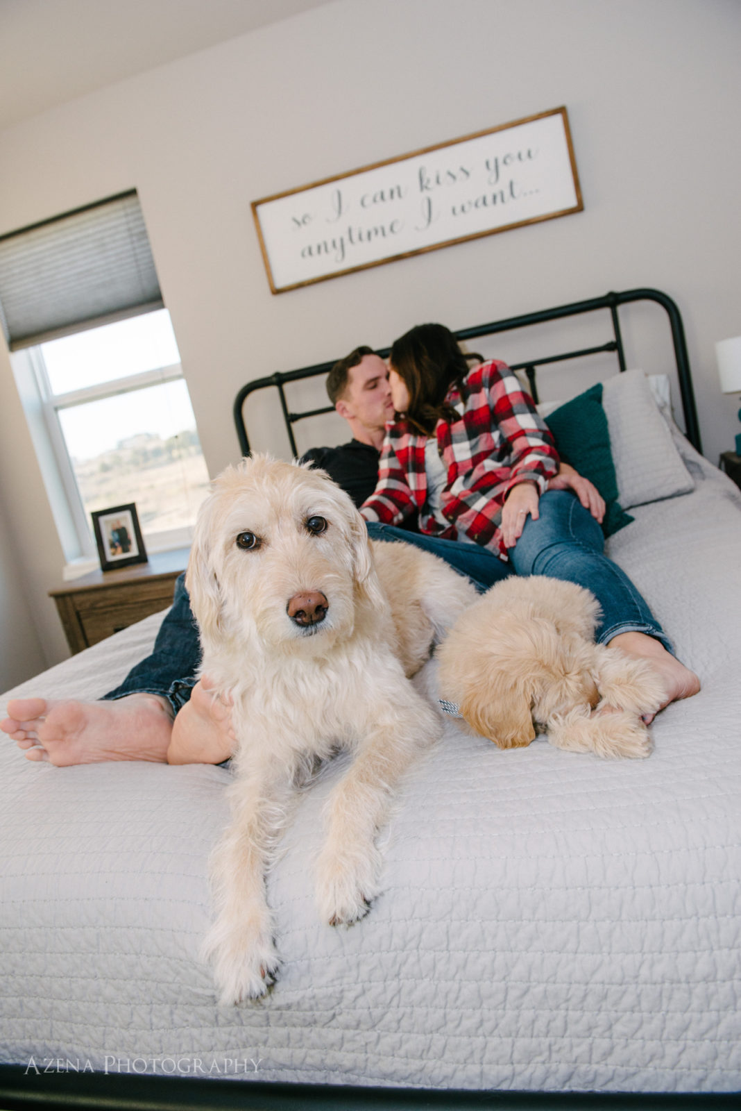 engagement session at home in bed with dogs