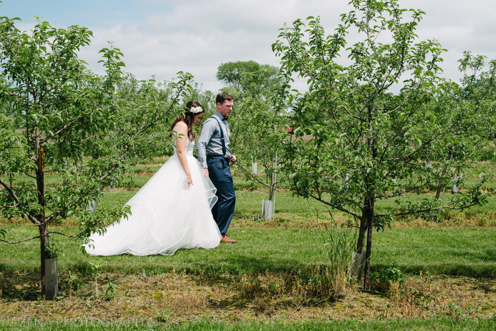 bride and groom walking in apple orchard