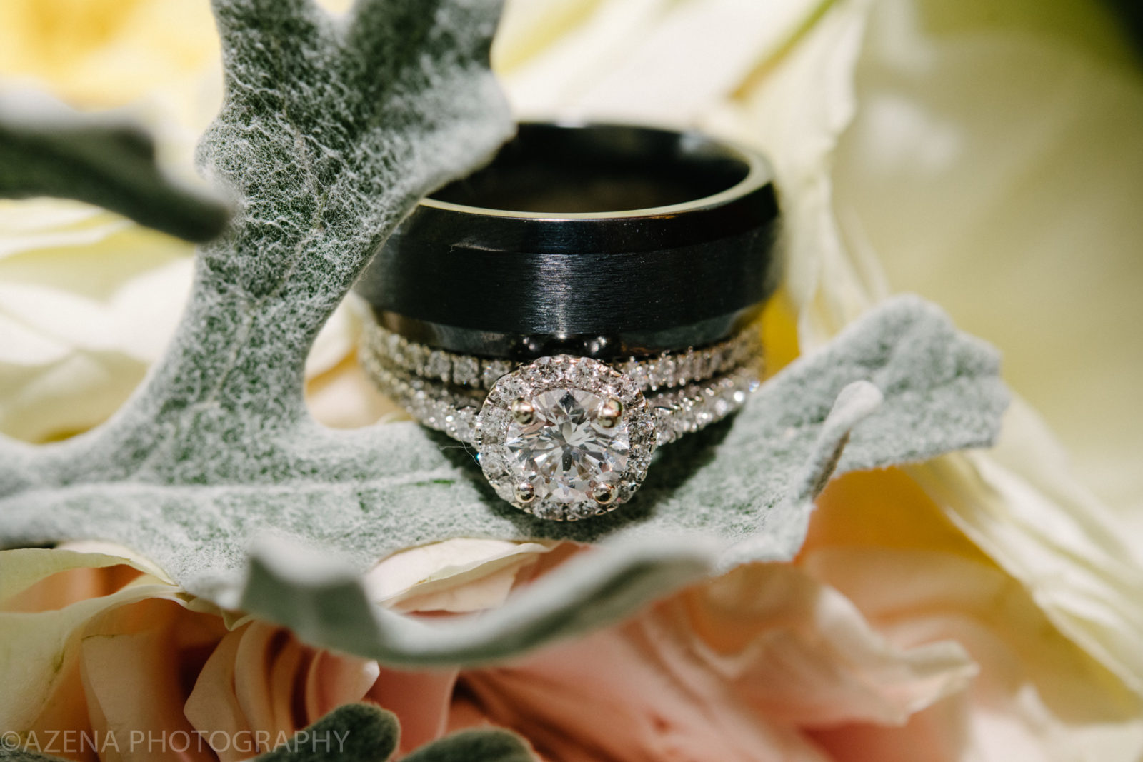 wedding rings from Kesslers Diamonds
