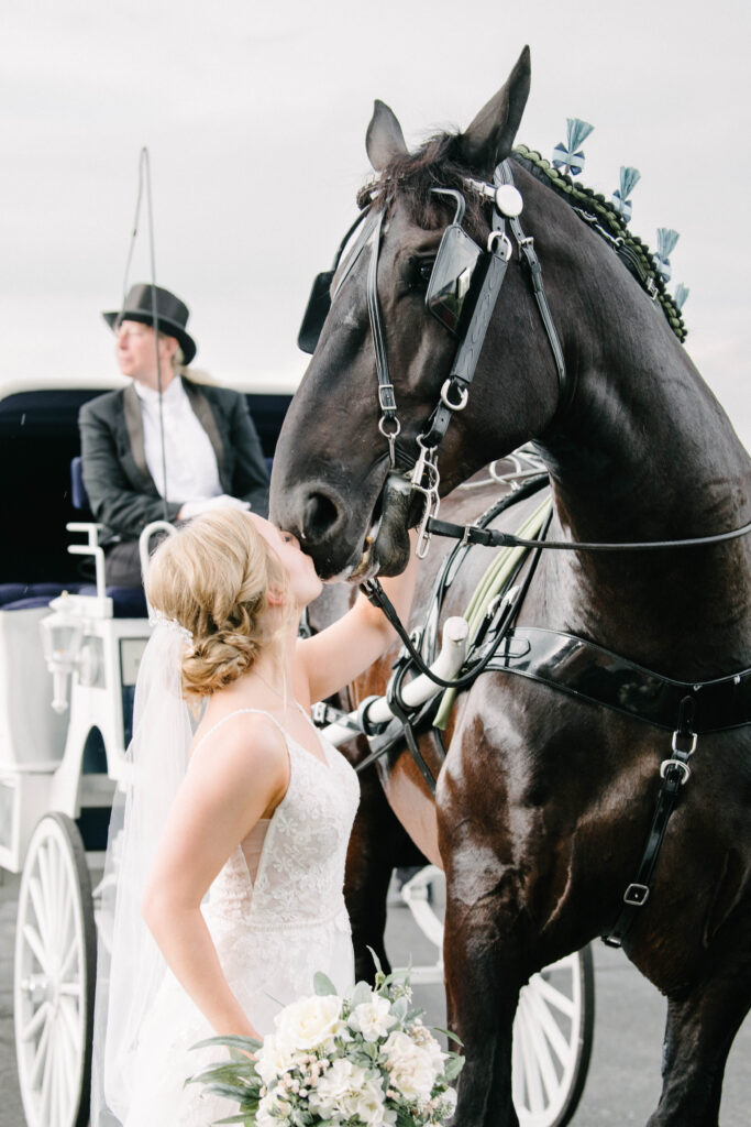 Bride with Horse and Carriage